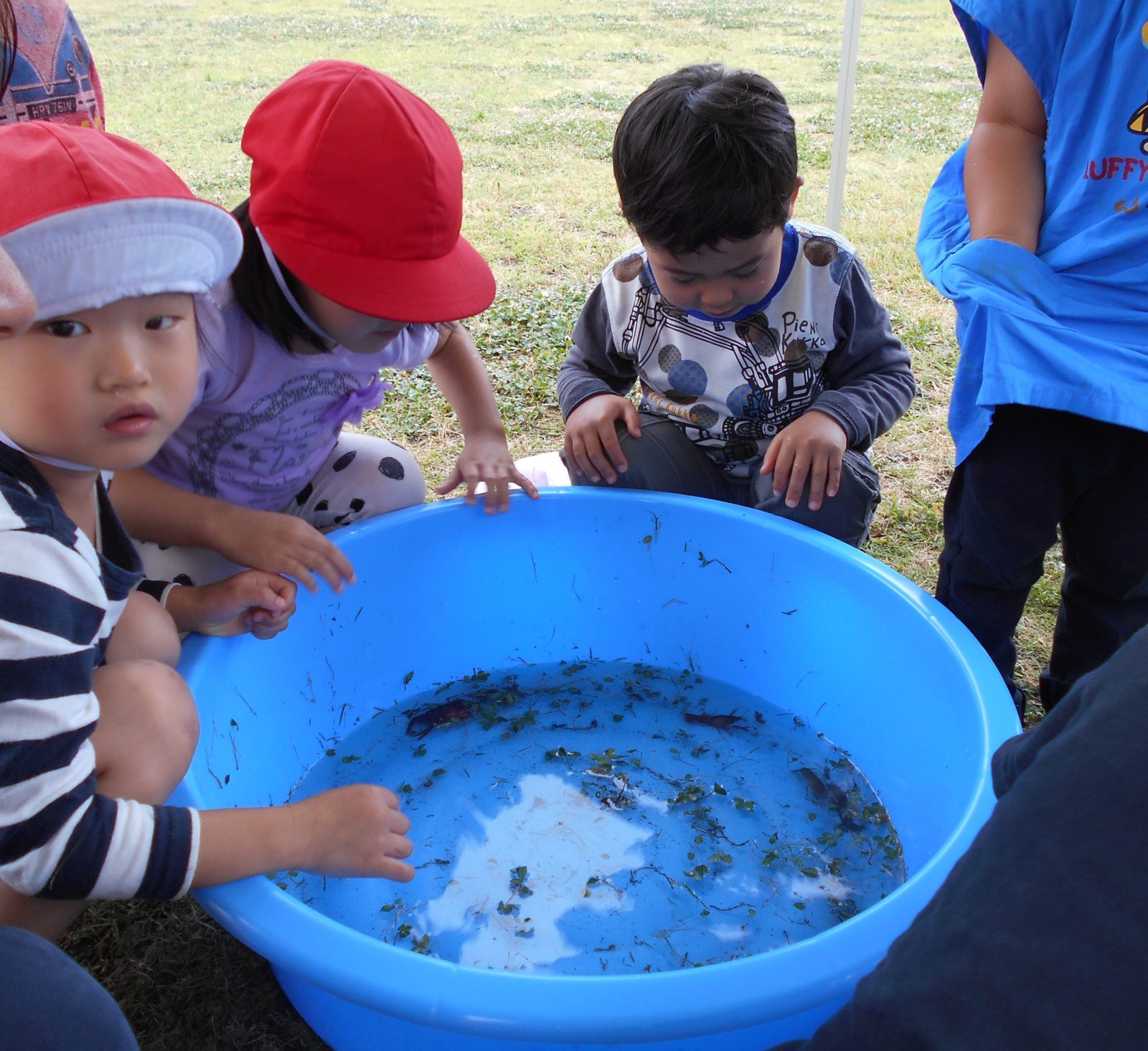 プレーパークドラム缶風呂 柏崎ふたば幼稚園